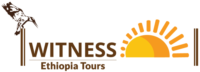 Witness Ethiopia Tours | Addis Ababa Ethiopia